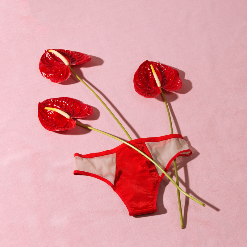 Pantys - championing sustainable periods