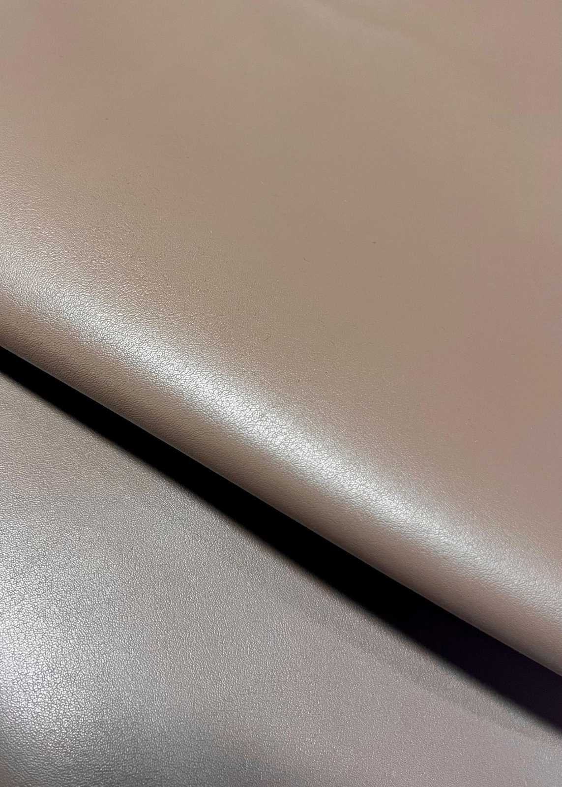 Vera Cardholder