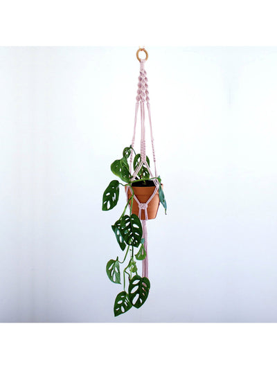 D.I.Y. Macrame Set with Video
